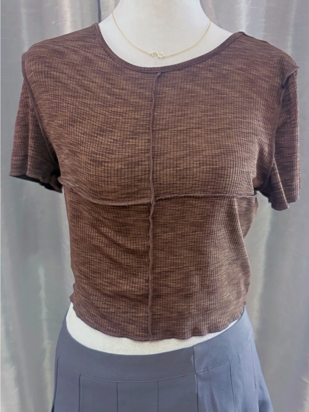 H&M Chocolate Brown Ribbed Seam-Detail Crop Top